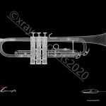 5×7 Trumpet Neg